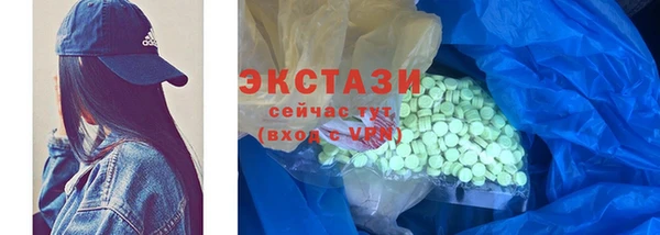 СК Алексин