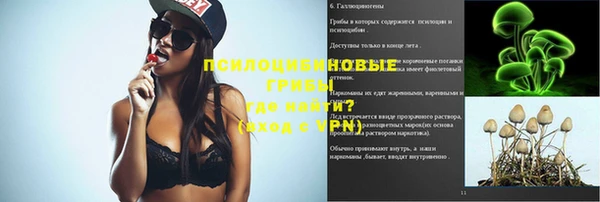 СК Алексин
