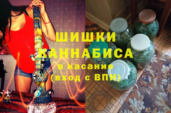 СК Алексин