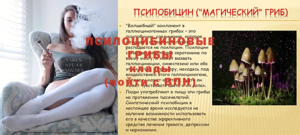 COCAINE Алзамай