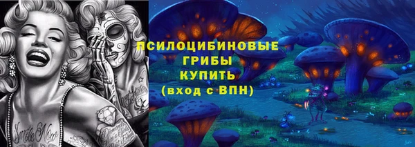 СК Алексин