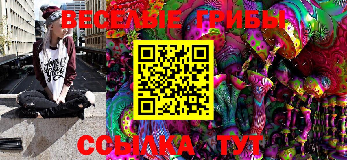 Псилоцибиновые грибы Cubensis Сосновый Бор