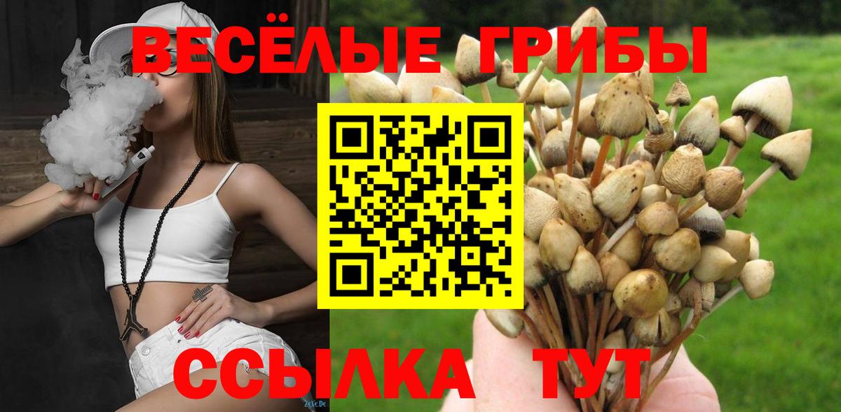 Галлюциногенные грибы GOLDEN TEACHER  Вход с VPN  Сосновый Бор 